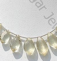 Scapolite Dolphin Shape Beads