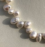 珍珠花式造型