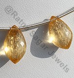Imperial Topaz Dolphin Briolette